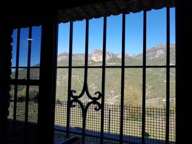 Vivienda Rural Casa Sofia Villa Ubrique Bagian luar foto