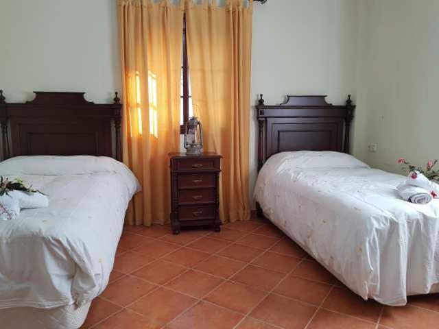 Vivienda Rural Casa Sofia Villa Ubrique Bagian luar foto